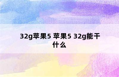 32g苹果5 苹果5 32g能干什么